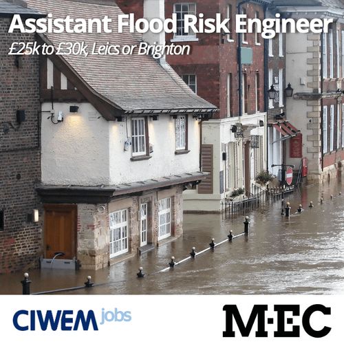 3 MEC Assistant Flood